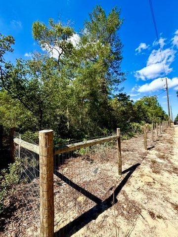 15920 NE 236TH LANE, Fort Mc Coy, FL 32134