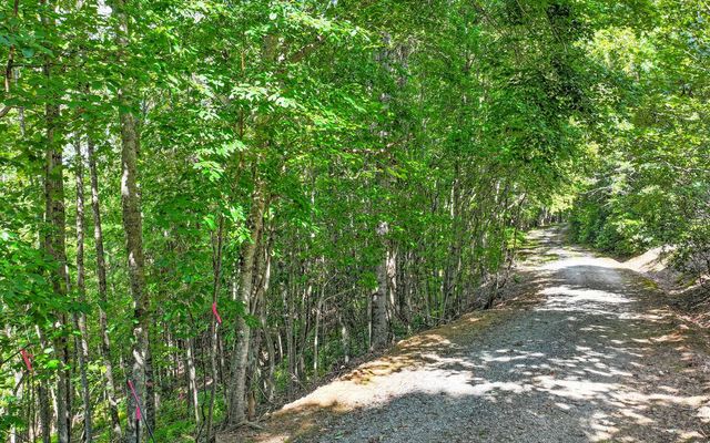 Lot 1 North View Drive, Mineral Bluff, GA 30559