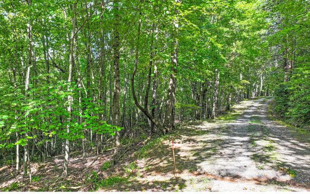 Lot 1 North View Drive, Mineral Bluff, GA 30559