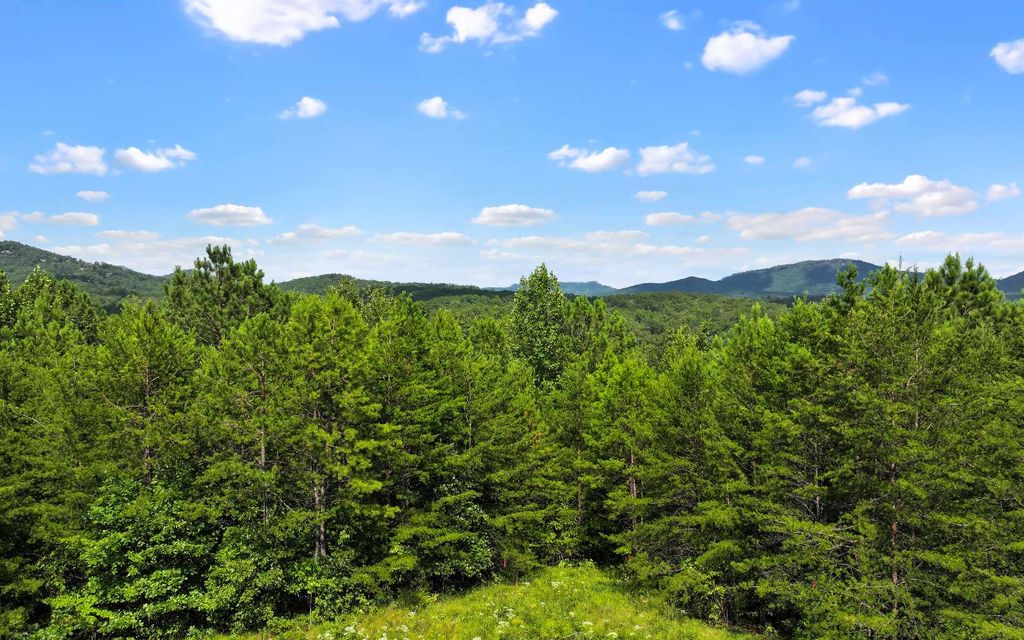 Lot 1 North View Drive, Mineral Bluff, GA 30559