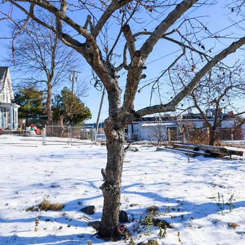 186 Powell St, Lowell, MA 01851