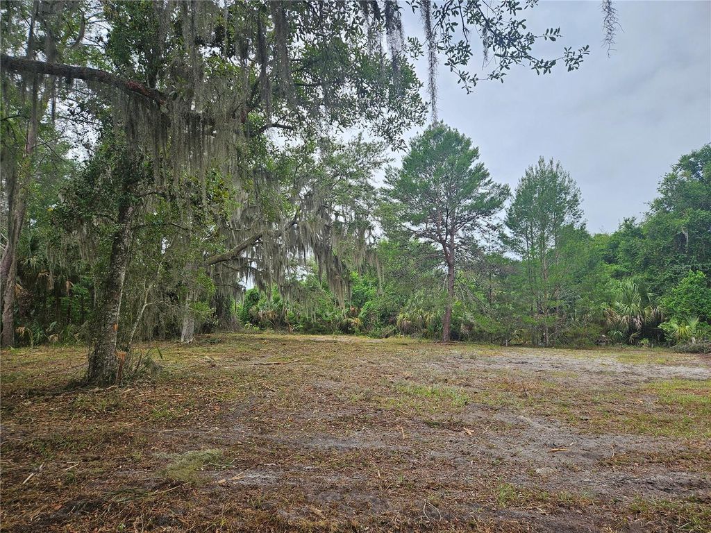 000 CULVER WAY, Geneva, FL 32732