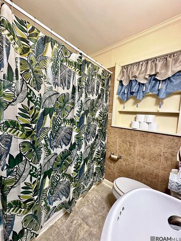 58675 Delacroix Ave, Plaquemine, LA 70764