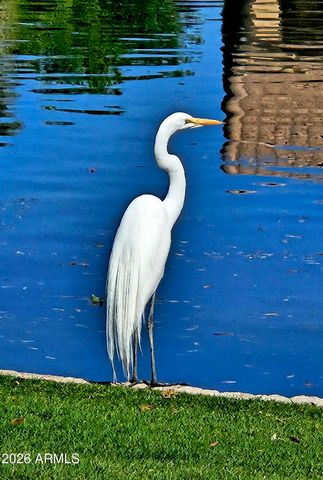 1801 W LYNX Way, Chandler, AZ 85248