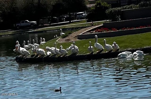 1801 W LYNX Way, Chandler, AZ 85248