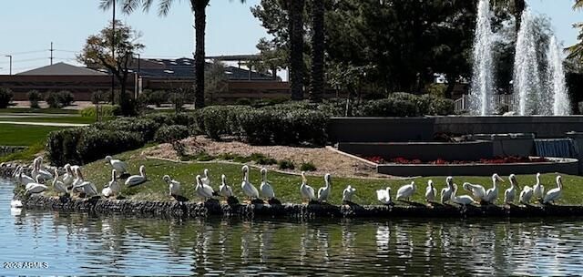 1801 W LYNX Way, Chandler, AZ 85248