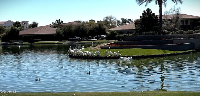 1801 W LYNX Way, Chandler, AZ 85248