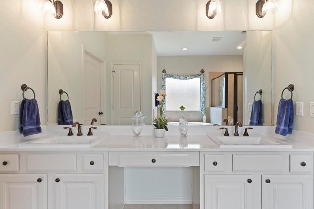 1766 Canyon Lake Creek Drive, Conroe, TX 77304