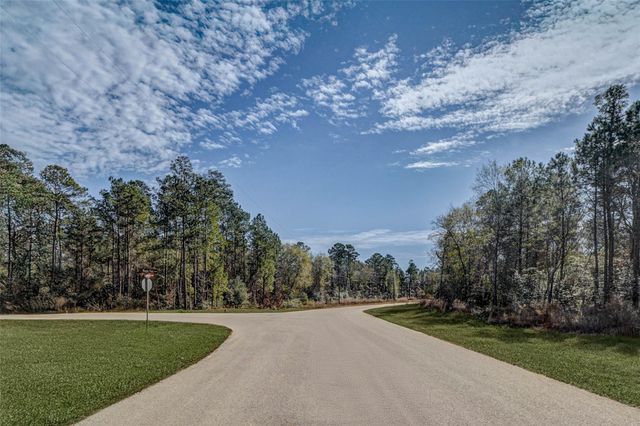 00 Bighorn Road, Huntsville, TX 77340
