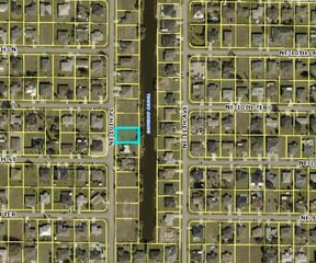 1007 NE 10th PL, Cape Coral, FL 33909
