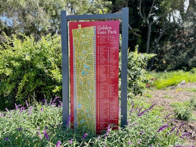 1819 8th Avenue, San Francisco, CA 94109