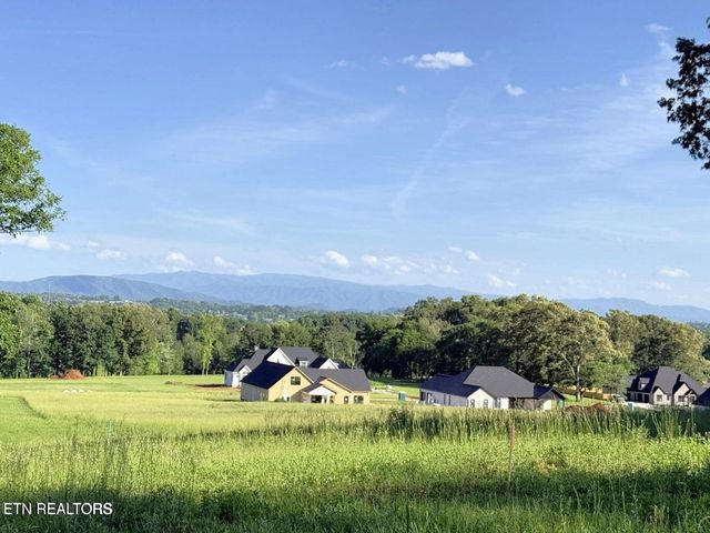 Lot 124 Kellys View Drive, Greenback, TN 37742