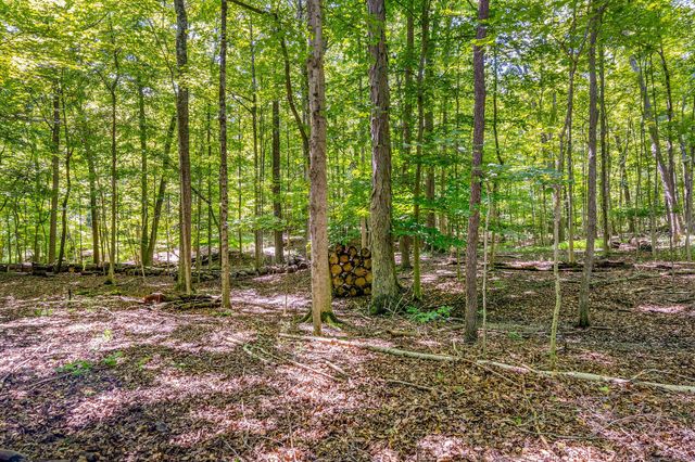7319 Bridlespur Lane, Delaware, OH 43015