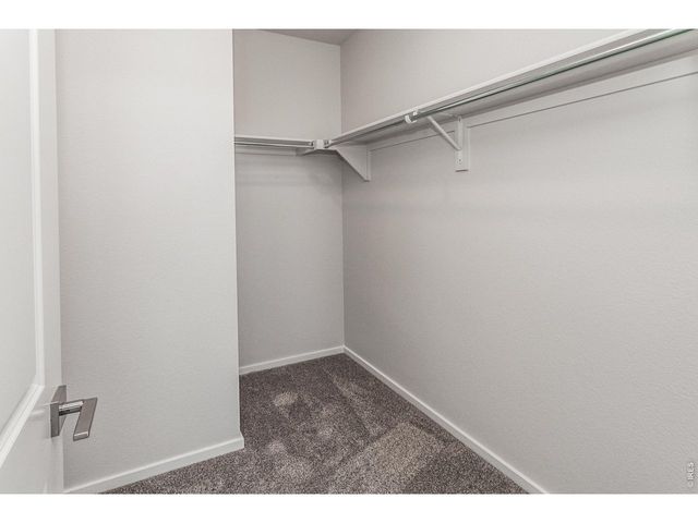 774 Trumpet Ct, Windsor, CO 80550