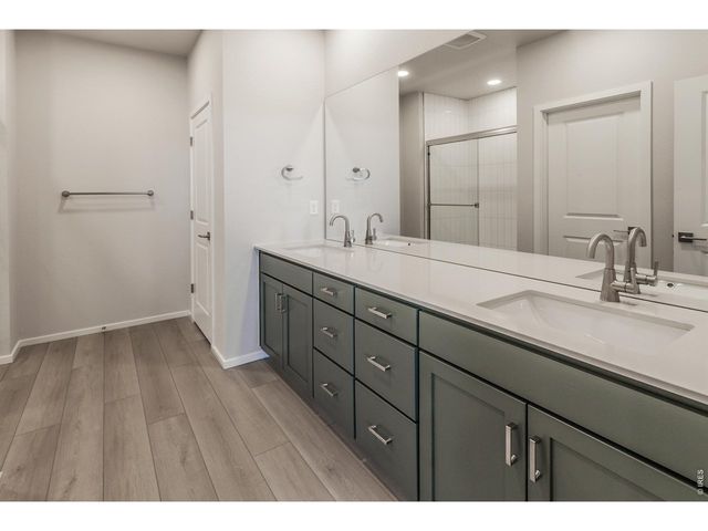 774 Trumpet Ct, Windsor, CO 80550