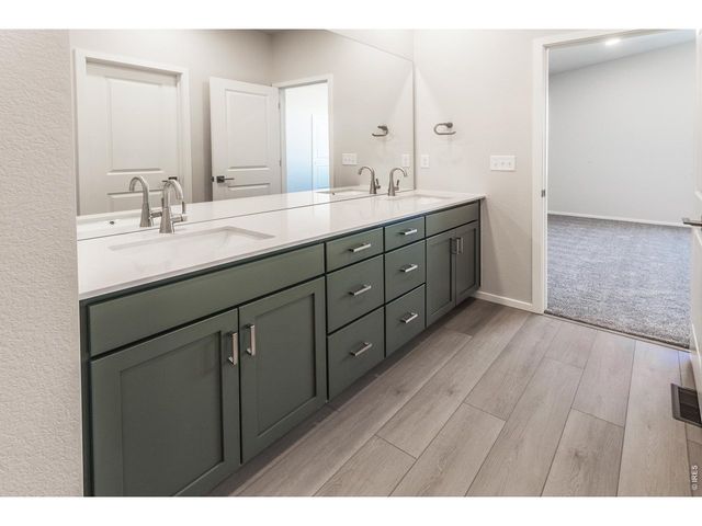 774 Trumpet Ct, Windsor, CO 80550