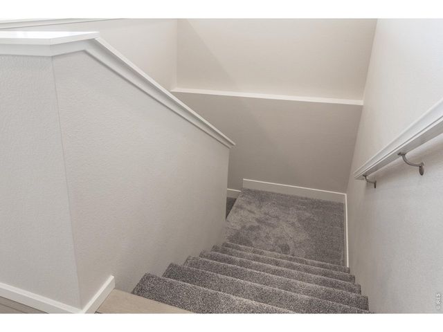 774 Trumpet Ct, Windsor, CO 80550