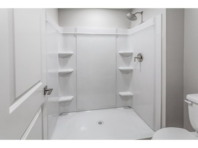 774 Trumpet Ct, Windsor, CO 80550
