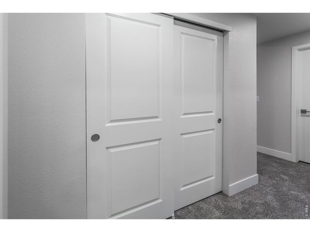 774 Trumpet Ct, Windsor, CO 80550