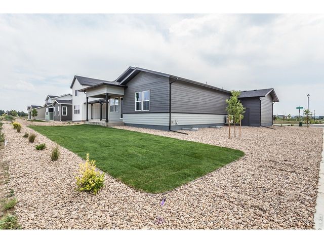 774 Trumpet Ct, Windsor, CO 80550