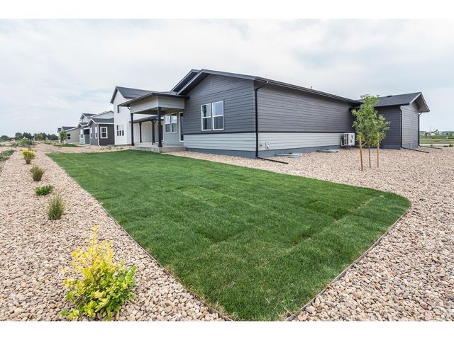774 Trumpet Ct, Windsor, CO 80550