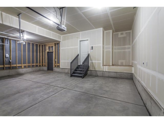 774 Trumpet Ct, Windsor, CO 80550