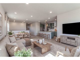 774 Trumpet Ct, Windsor, CO 80550
