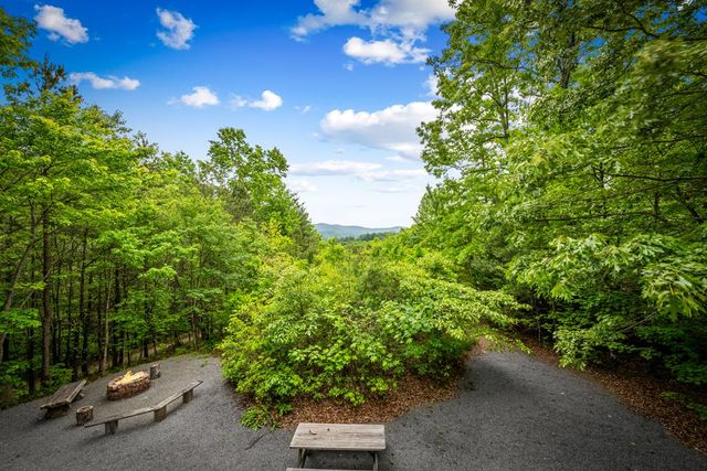 28 Hawkeye Ridge, Blue Ridge, GA 30513