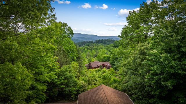 28 Hawkeye Ridge, Blue Ridge, GA 30513