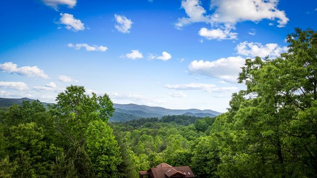 28 Hawkeye Ridge, Blue Ridge, GA 30513