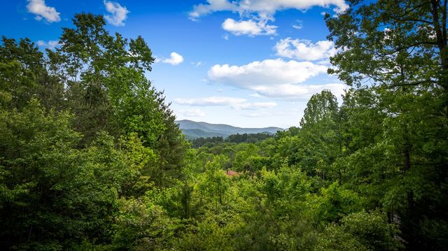 28 Hawkeye Ridge, Blue Ridge, GA 30513