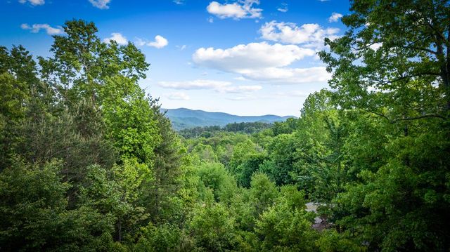 28 Hawkeye Ridge, Blue Ridge, GA 30513