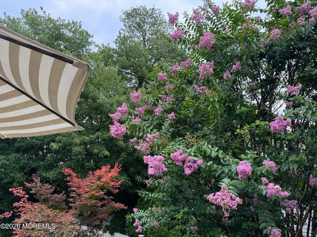 174 Statesir Place, Red Bank, NJ 07701