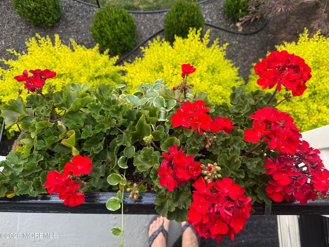 174 Statesir Place, Red Bank, NJ 07701