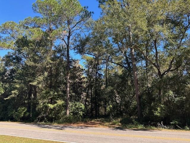 0 Rebel Road, Theodore, AL 36582