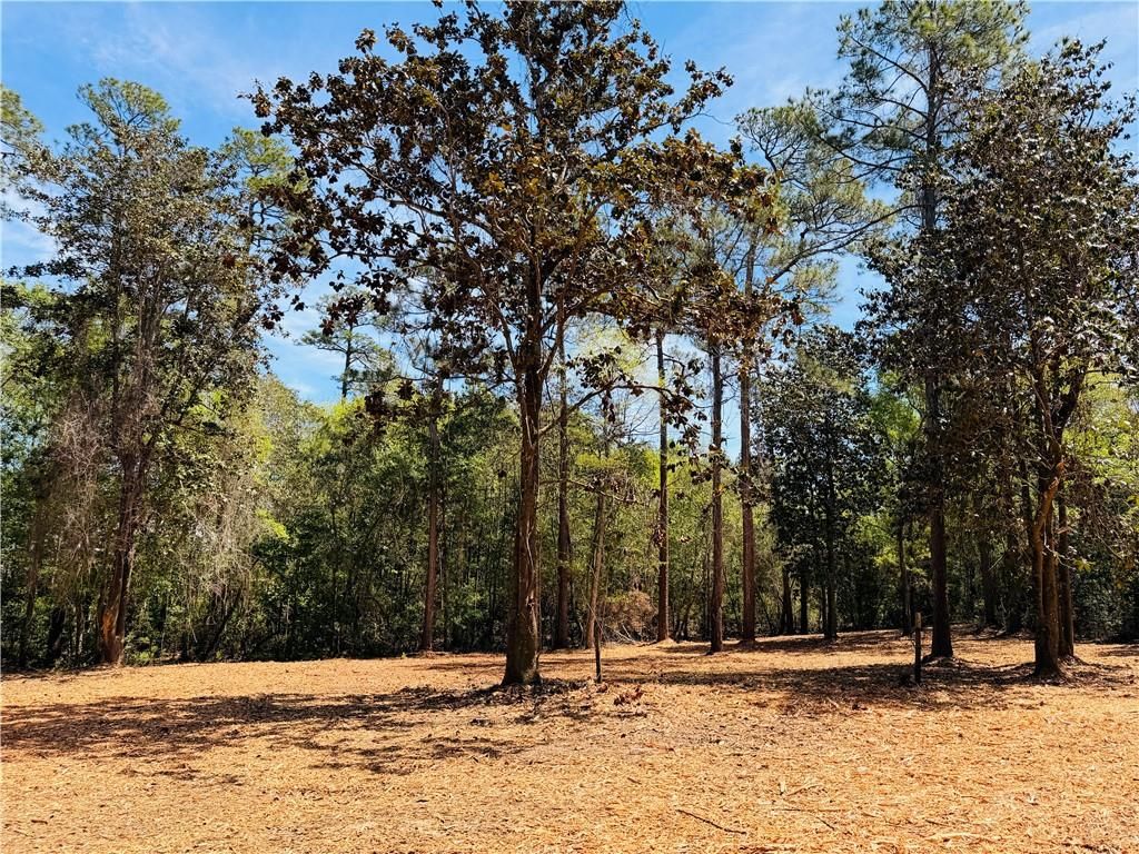 0 Rebel Road, Theodore, AL 36582 — photo 2