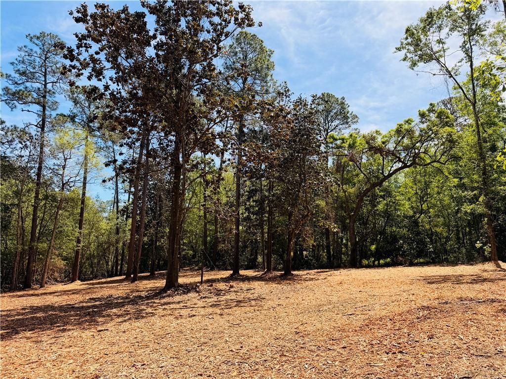 0 Rebel Road, Theodore, AL 36582 — photo 3