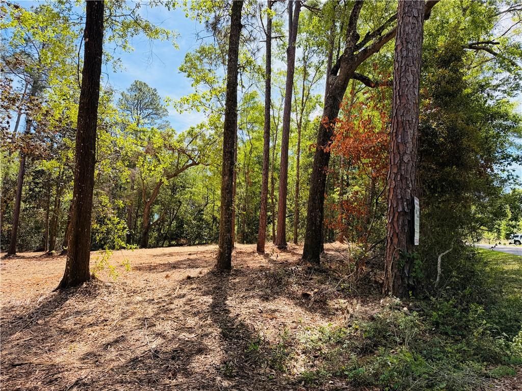 0 Rebel Road, Theodore, AL 36582 — photo 4