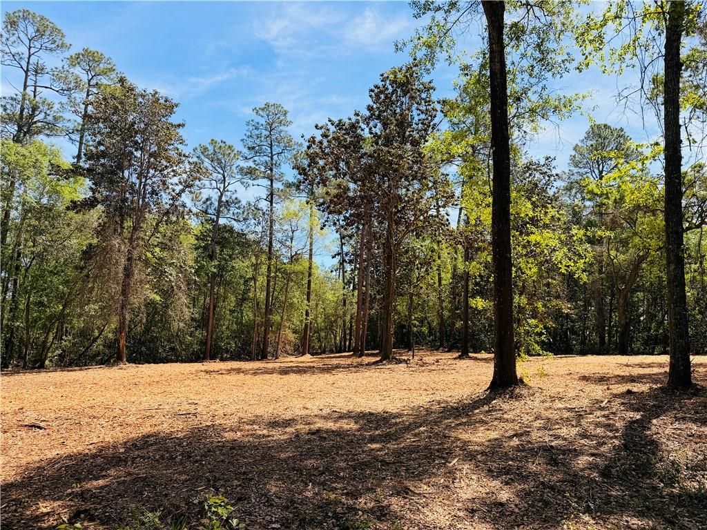 0 Rebel Road, Theodore, AL 36582 — photo 5