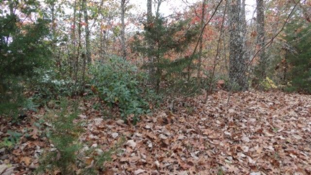 0 Drew Court, Smithville, TN 37166