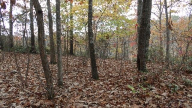 0 Drew Court, Smithville, TN 37166