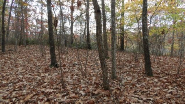 0 Drew Court, Smithville, TN 37166