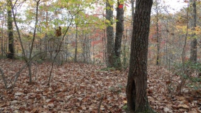 0 Drew Court, Smithville, TN 37166