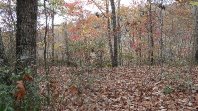 0 Drew Court, Smithville, TN 37166