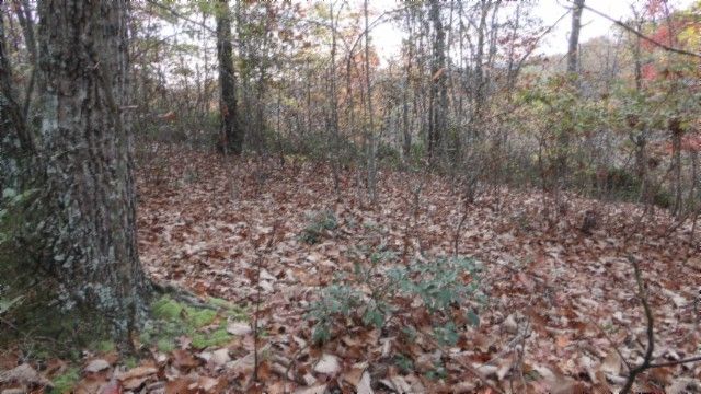 0 Drew Court, Smithville, TN 37166