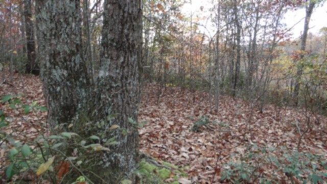 0 Drew Court, Smithville, TN 37166