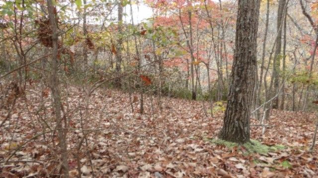 0 Drew Court, Smithville, TN 37166