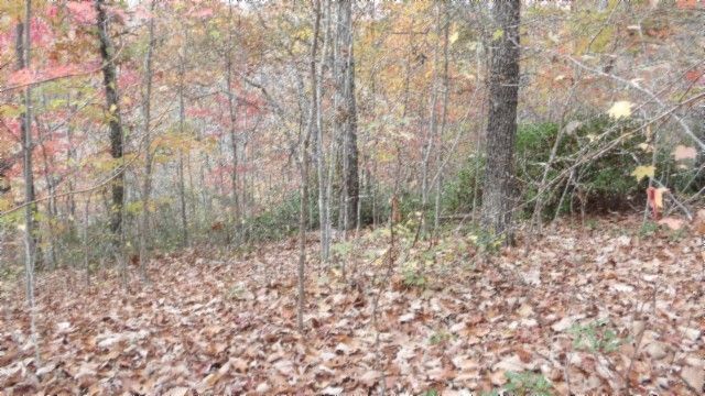 0 Drew Court, Smithville, TN 37166