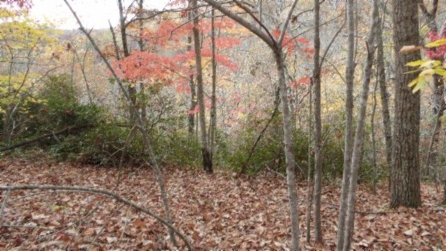 0 Drew Court, Smithville, TN 37166