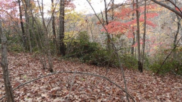 0 Drew Court, Smithville, TN 37166